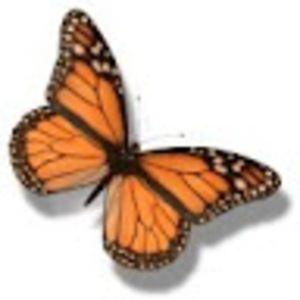 Meet your Posher, Judy